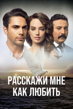 Расскажи мне, как любить (сериал, 2016)