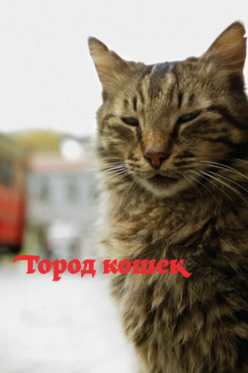 Город кошек (фильм, 2016) Город кошек (фильм, 2016)