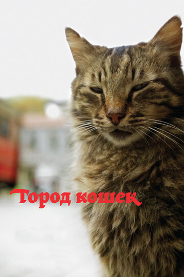 Город кошек (фильм, 2016) Город кошек (фильм, 2016)
