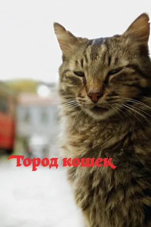 Город кошек (фильм, 2016)