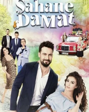 Замечательный зять (сериал, 2016)