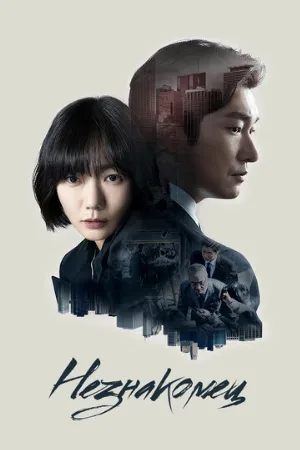 Незнакомец (сериал, 2017)