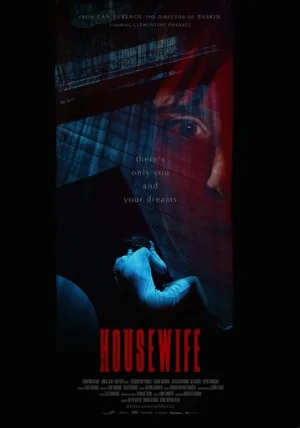 Домохозяйка (фильм, 2017)