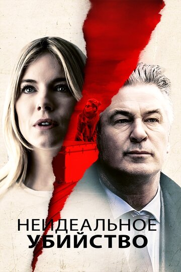Неидеальное убийство (фильм, 2017) Неидеальное убийство (фильм, 2017)