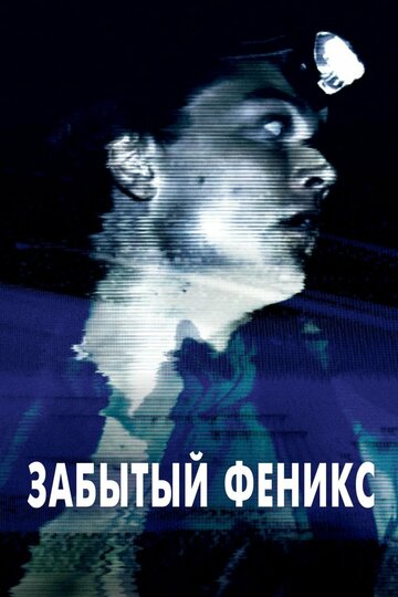 Забытый Феникс (фильм, 2017)