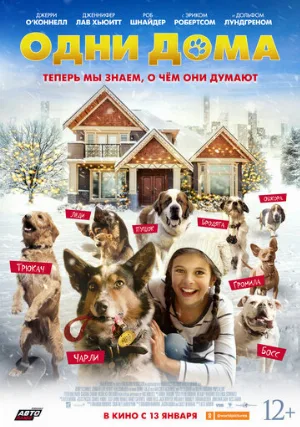 Одни дома (фильм, 2021)