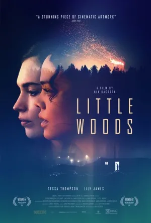 Лесок (фильм, 2018)
