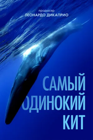 Самый одинокий кит (фильм, 2021)