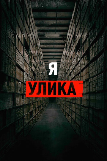 Я — улика (фильм, 2017)
