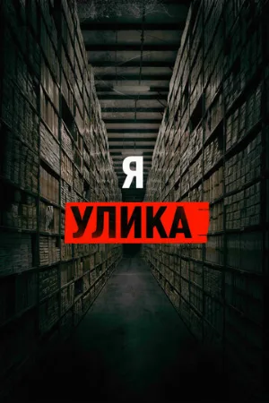 Я — улика (фильм, 2017)