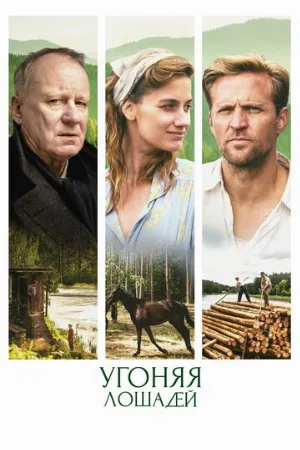 Угоняя лошадей (фильм, 2019)