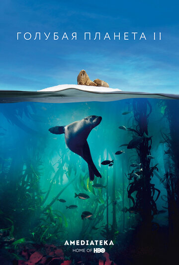 ТВ-шоу Голубая планета 2 (2017) смотреть онлайн