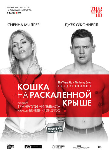 Кошка на раскалённой крыше (фильм, 2018) Кошка на раскалённой крыше (фильм, 2018)
