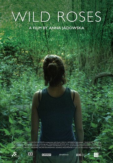 Дикие розы (фильм, 2017) Дикие розы (фильм, 2017)