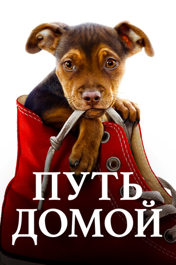 Фильм Путь домой (2019) смотреть онлайн