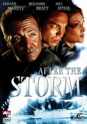 После шторма (фильм, 2001)