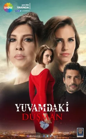 Враг в моем доме (сериал, 2018)
