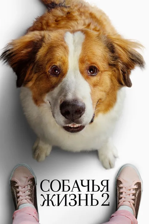 Собачья жизнь 2 (фильм, 2019) Собачья жизнь 2 (фильм, 2019)