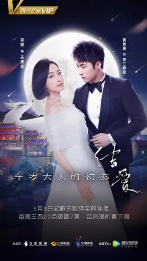 Узелок любви: Первая любовь Его Превосходительства (сериал, 2018)