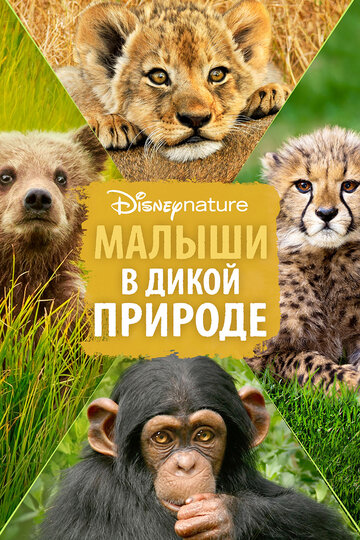 Малыши в дикой природе (фильм, 2016)