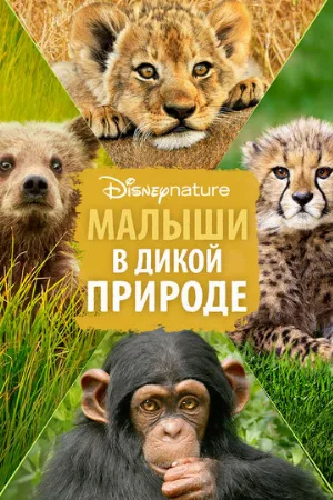 Малыши в дикой природе (фильм, 2016)