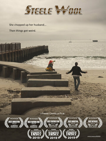 Стил и Вул (фильм, 2019)