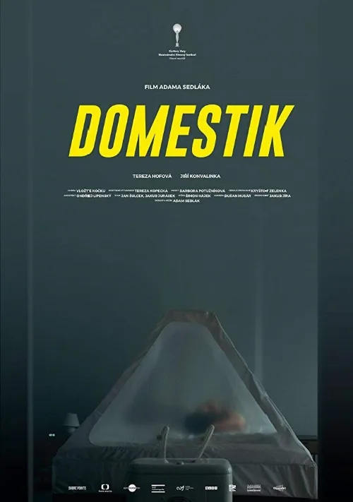 Домашний режим (фильм, 2018) Домашний режим (фильм, 2018)