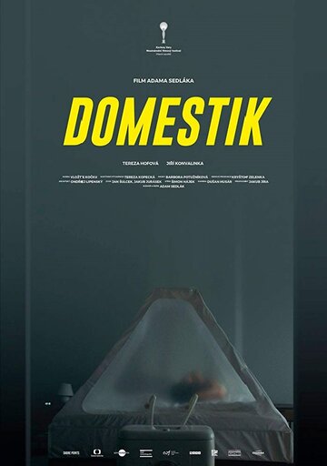 Домашний режим (фильм, 2018) Домашний режим (фильм, 2018)
