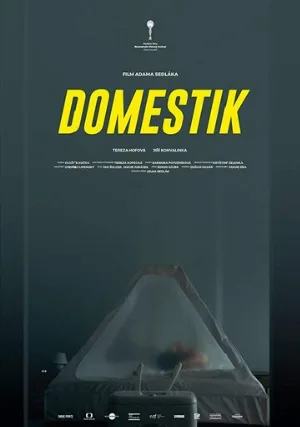 Домашний режим (фильм, 2018)
