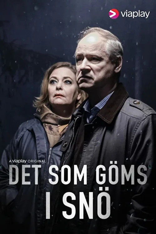 Что спрятано в снегу (сериал, 2018) Что спрятано в снегу (сериал, 2018)