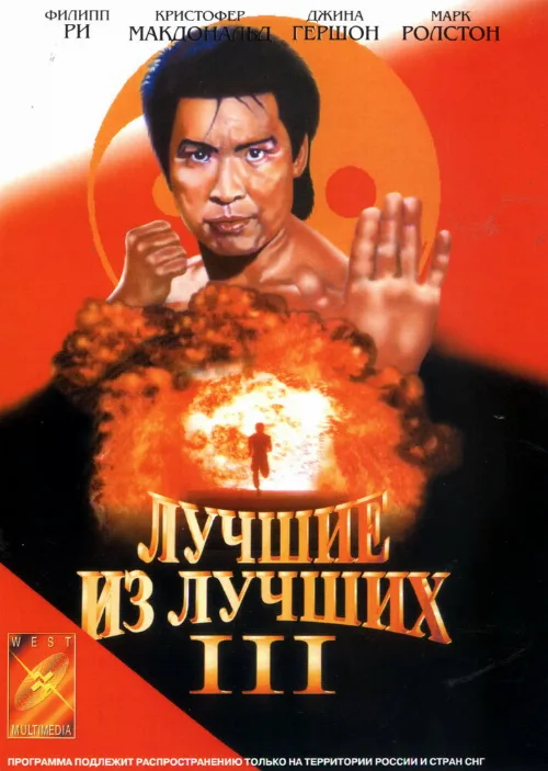 Лучшие из лучших 3 (фильм, 1995) Лучшие из лучших 3 (фильм, 1995)