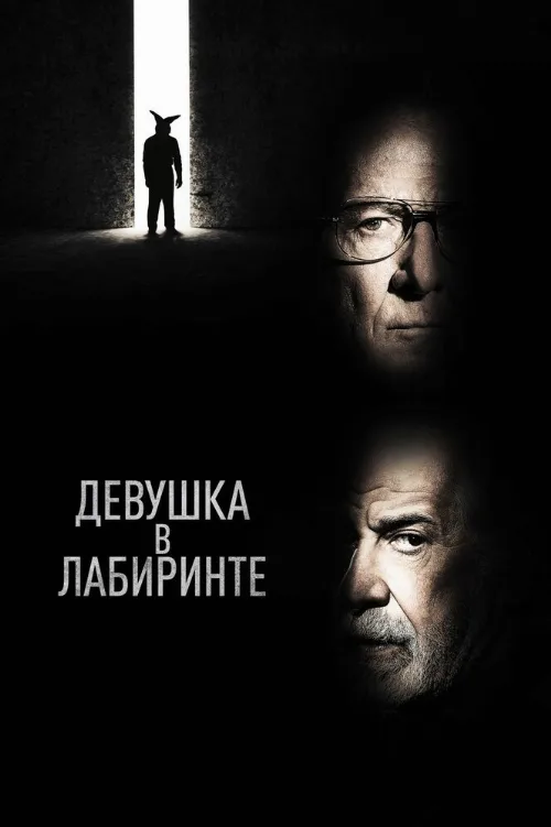 Девушка в лабиринте (фильм, 2019) Девушка в лабиринте (фильм, 2019)