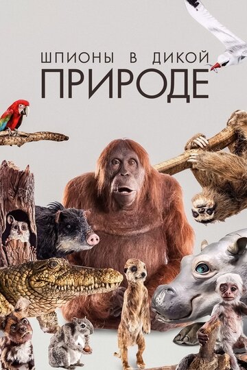 Постер тв-шоу Шпионы в дикой природе 2017 года Постер тв-шоу Шпионы в дикой природе 2017 года