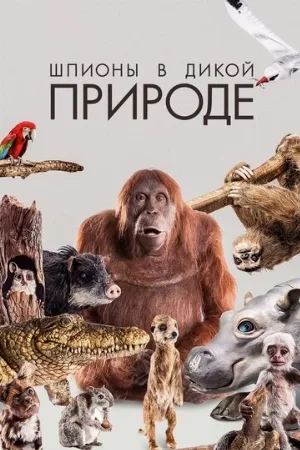 Шпионы в дикой природе (тв-шоу, 2017)