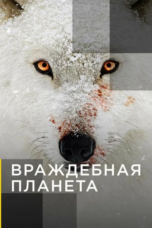 Враждебная планета (тв-шоу, 2019) Враждебная планета (тв-шоу, 2019)