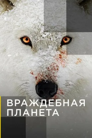Враждебная планета (тв-шоу, 2019)
