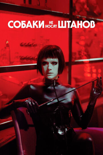 Фильм Собаки не носят штанов (2019) смотреть онлайн