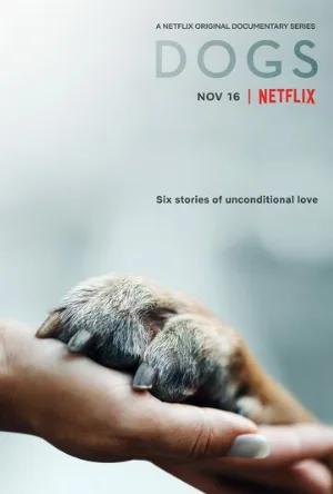 Друг человека (сериал, 2018)