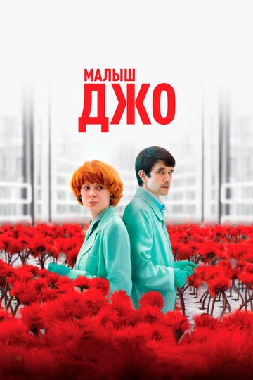Постер фильма Малыш Джо 2019 года Постер фильма Малыш Джо 2019 года