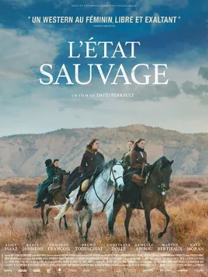 Дикий штат (фильм, 2019)