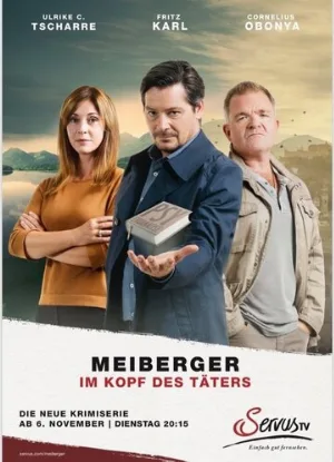 Майбергер. В голове преступника (сериал, 2018)
