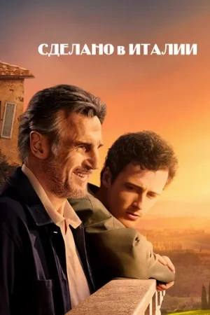 Сделано в Италии (фильм, 2020)
