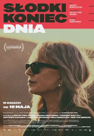 Конец сладкого дня (фильм, 2019)