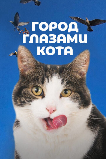 Город глазами кота (фильм, 2018) Город глазами кота (фильм, 2018)