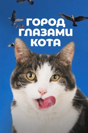 Город глазами кота (фильм, 2018)