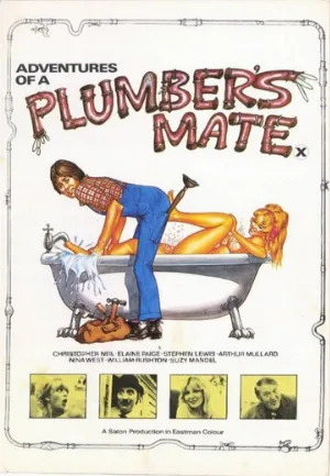 Приключения приятеля сантехника (фильм, 1978)