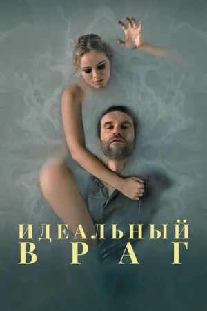 Идеальный враг (фильм, 2020)