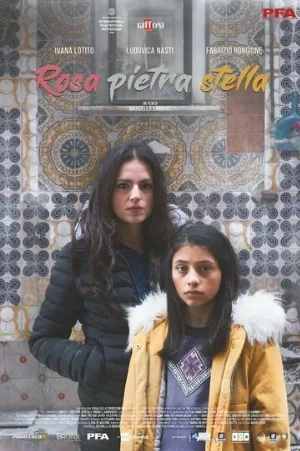 Роза, камень и звезда (фильм, 2020)