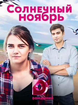 Солнечный ноябрь (сериал, 2019)