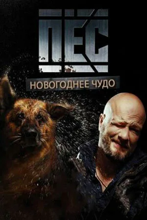 Пёс. Новогоднее чудо (фильм, 2018)